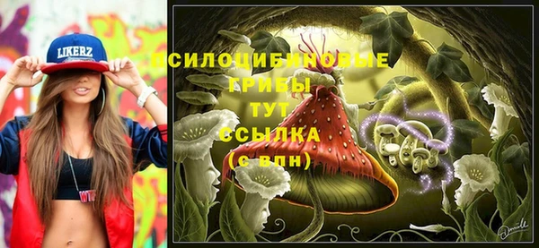эйфоретик Алексеевка