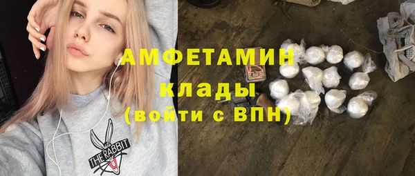 ПСИЛОЦИБИНОВЫЕ ГРИБЫ Алзамай