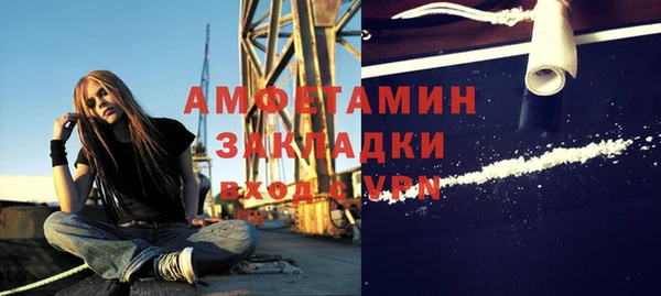 ПСИЛОЦИБИНОВЫЕ ГРИБЫ Алзамай