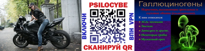 Псилоцибиновые грибы GOLDEN TEACHER Сунжа