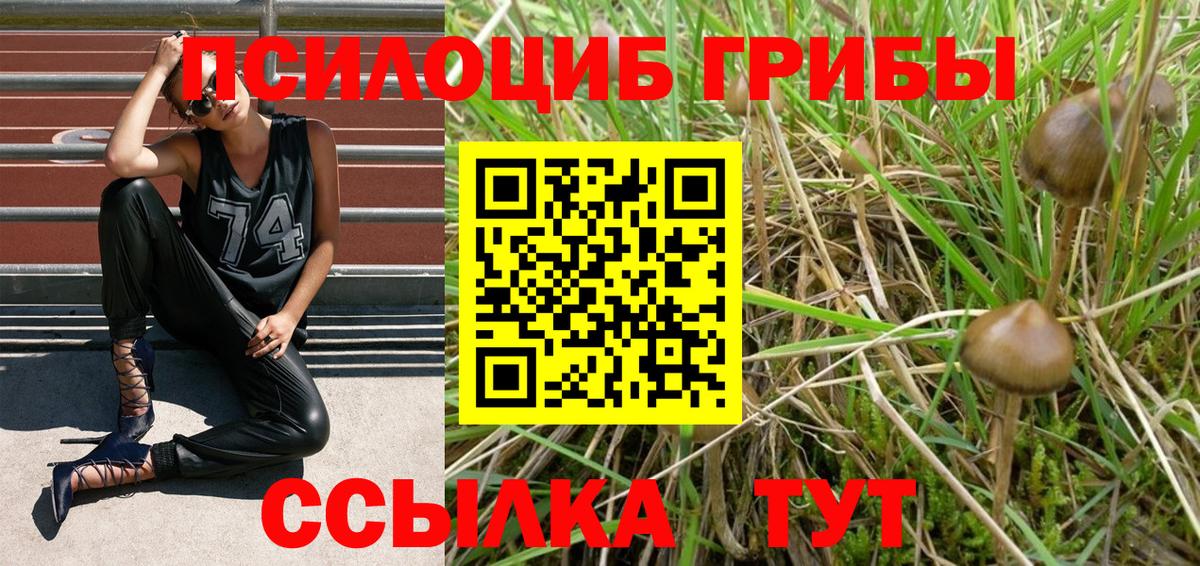 Галлюциногенные грибы MAGIC MUSHROOMS Сунжа