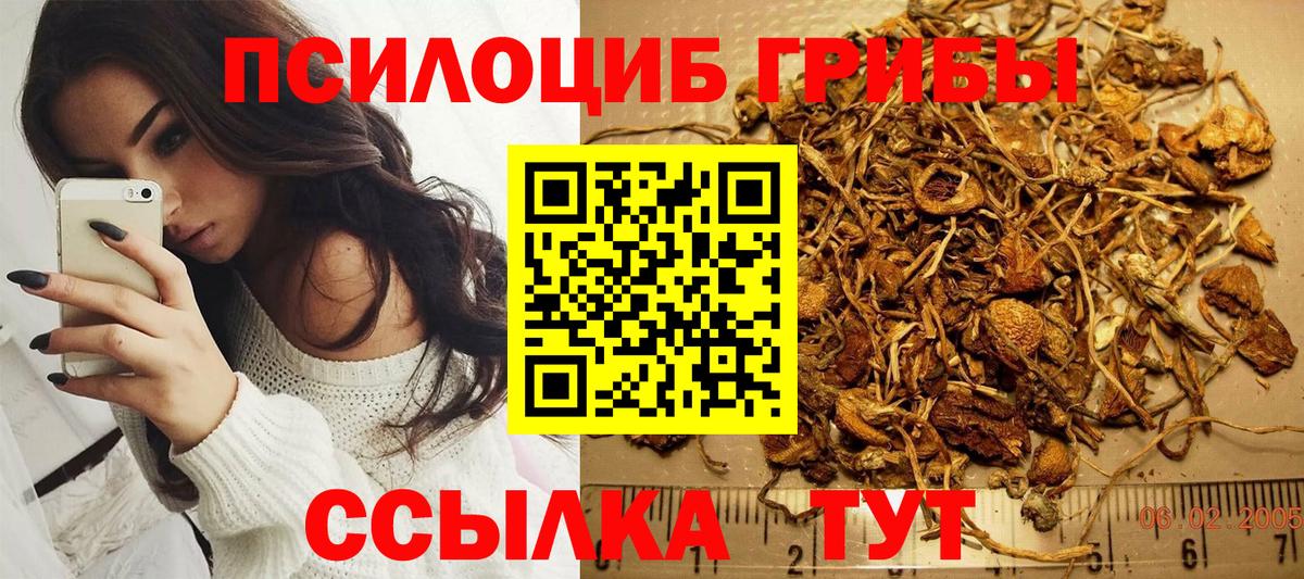 Codein Сунжа