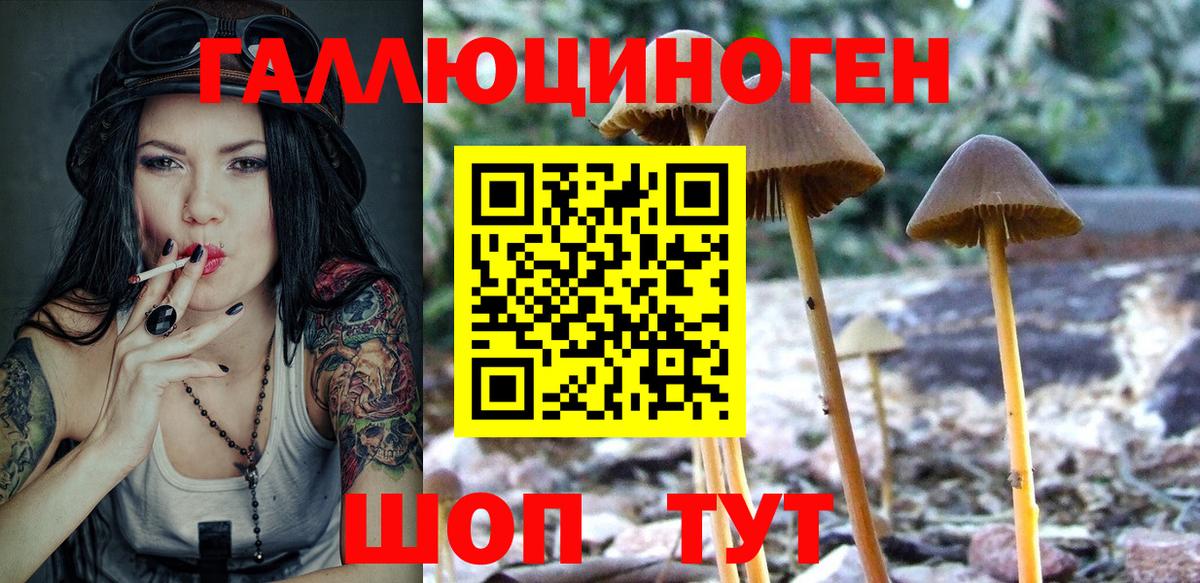 Псилоцибиновые грибы Magic Shrooms  Галлюциногенные грибы мицелий  Вход с VPN  как найти закладки  Сунжа 