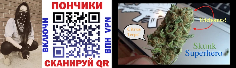 закладка  ссылка на мегу ONION  Канабис VHQ  Сунжа 